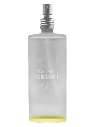 Bergamota & Flor de Laranjeira - برگاموتا اند فلور د لارانژایرا