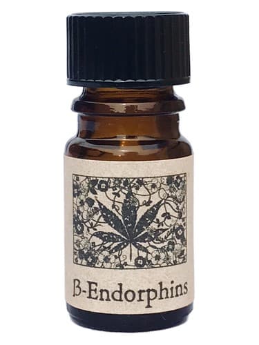 β-Endorphins - بتا اندورفین ها