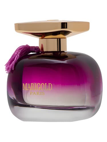 Marigold - گل همیشه اسپرینگ
