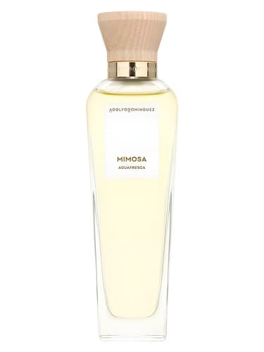 Agua Fresca de Mimosa Coriandro - آگوا فرسکا د میموزا کوریاندرو