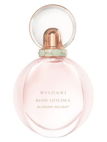 Rose Goldea Blossom Delight - رز گلدیا بلاسم دیلایت