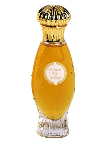 Narcisse Noir (1911) - نارسیس نوآر (۱۹۱۱)