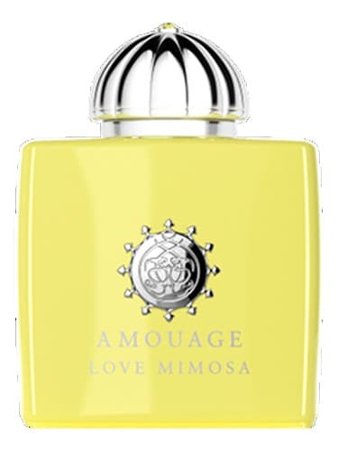 Love Mimosa - لاو میموزا