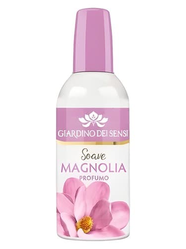 Soave Magnolia - ماگنولیا را خیس کنید