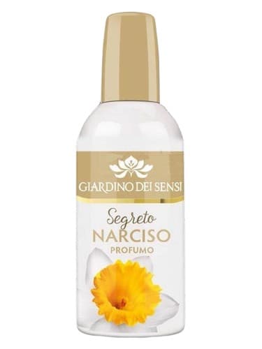 Segreto Narciso