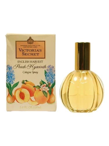 Peach Hyacinth