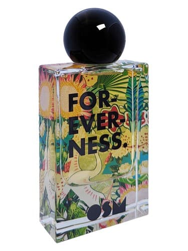 Foreverness - ابدیت