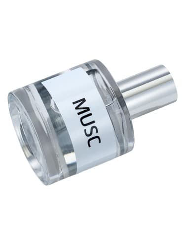 JD Musc Neutre
