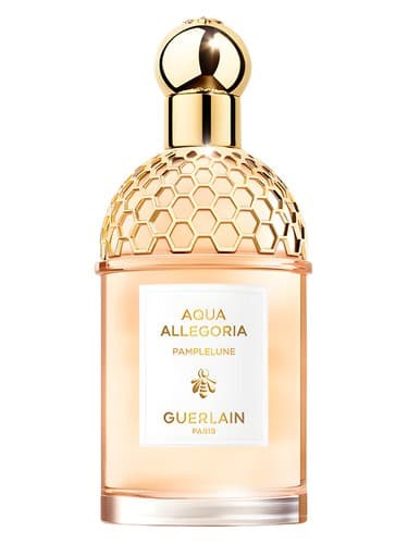 Aqua Allegoria Pamplelune - آکوا الگوریا پامپلون