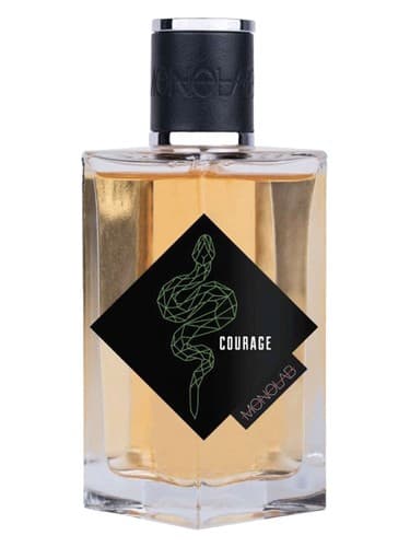 Courage - شجاعت