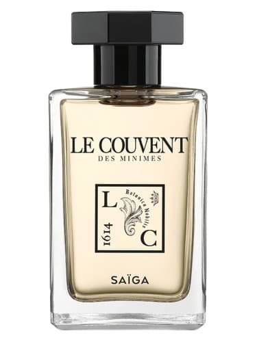 Saiga - سایگا