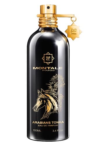 Arabians Tonka - عربین تونکا