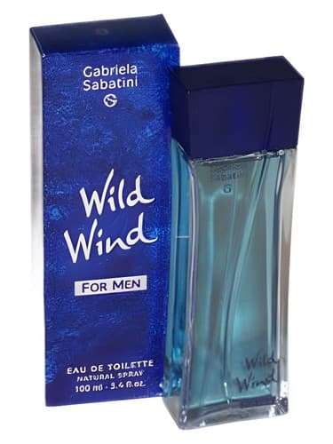 Wild Wind for Men - باد وایلد برای مردان