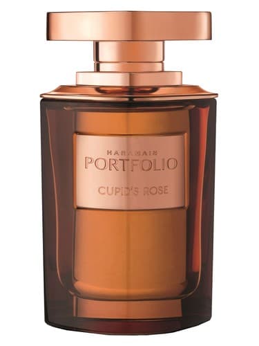Portfolio Cupid's Rose - نمونه کارها رز کوپید