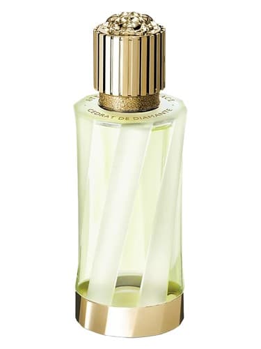 Cédrat de Diamante - سدرات دو دیامانته