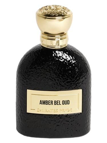 Amber Bel Oud - عنبر بل عود