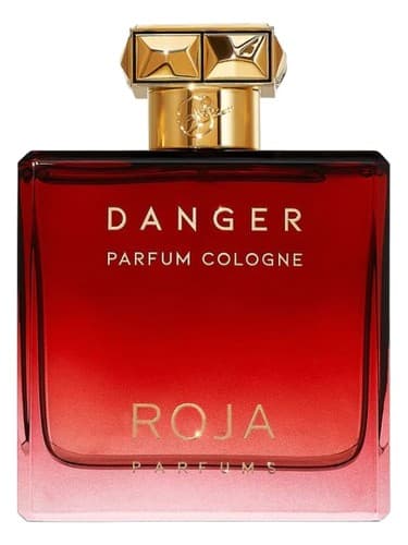 Danger Pour Homme Parfum Cologne - دنجر پور هوم پارفوم کلن