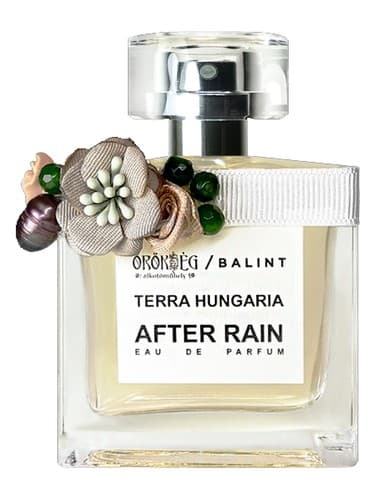 After Rain