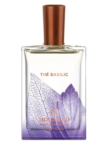 Thé Basilic