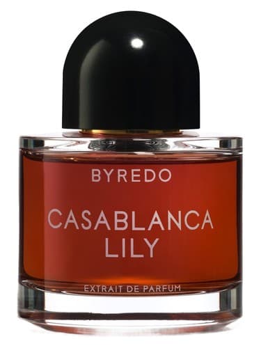 Casablanca Lily 2019 - کازابلانکا لیلی ۲۰۱۹