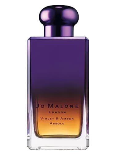 Violet & Amber Absolu - وایولت اند امبر ابسولو