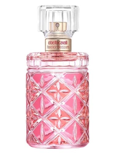 Florence Blossom - فلورانس بلوسوم