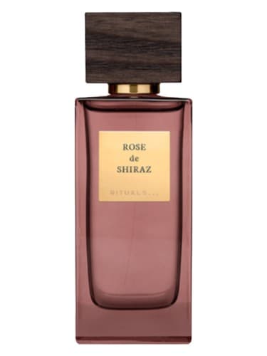 Rose de Shiraz - رز د شیراز