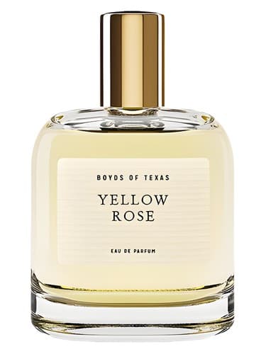 Yellow Rose