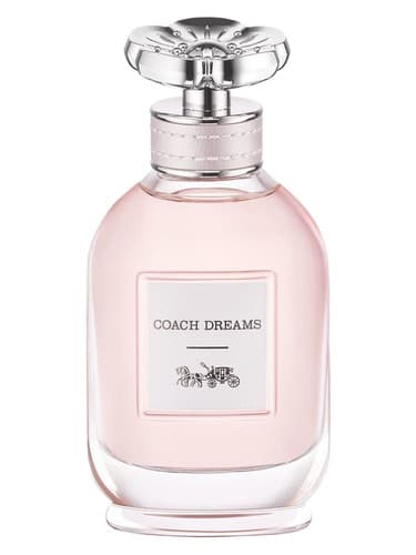 Coach Dreams