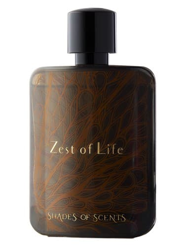 Zest Of Life - مزه زندگی