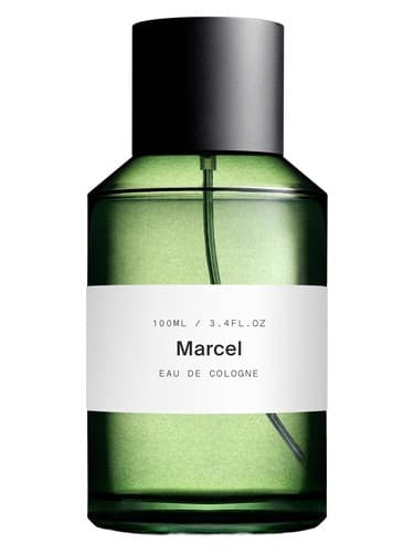 Marcel - مارسل