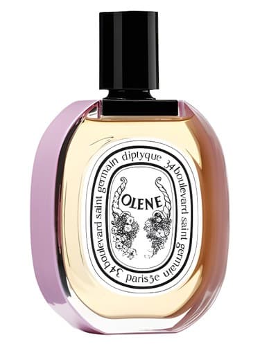 Impossible Bouquet Olene - ایمپاسیبل بوکی اولن