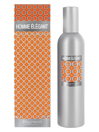 Homme Elegant