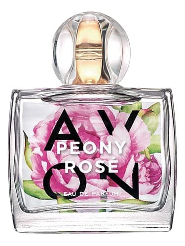 Peony Rosé - گل صد تومانی رز