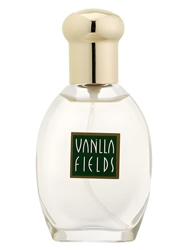 Vanilla Fields - وانیلا فیلدز