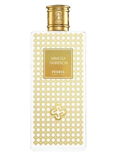 Mimosa Tanneron - میموزا تانرون