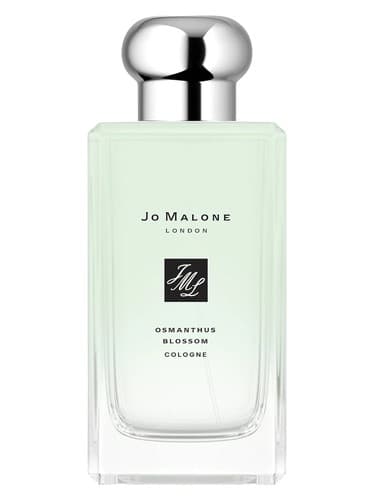 Osmanthus Cologne - اسمانتوس کلون