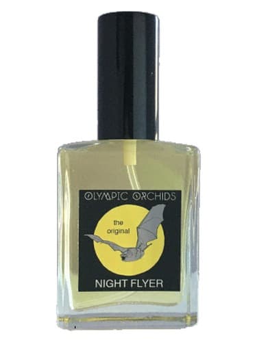 Night Flyer - نایت فلایر