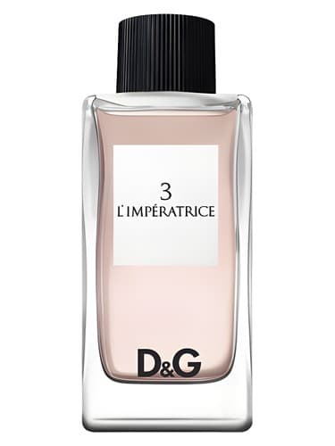 D&G Anthology L'Imperatrice 3 - دلچه گابانا آنتولوژی ال ایمپرتریس 3