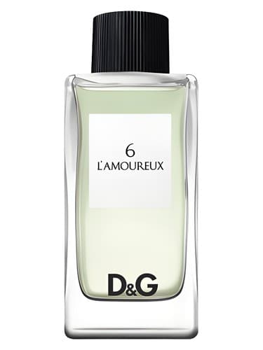 D&G Anthology L'Amoureux 6 - دی اند جی آنتولوژی لاموروکس ۶