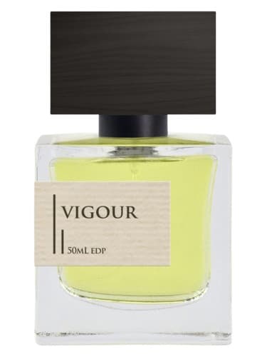 Vigour - قدرت
