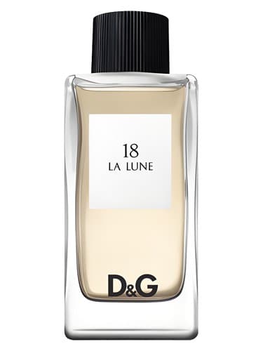 D&G Anthology La Lune 18 - دی اند جی آنتولوژی لا لون ۱۸