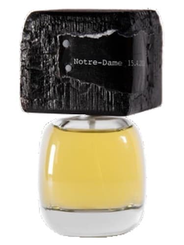Notre Dame 15.4.2019 - نوتر دام 15.4.2019
