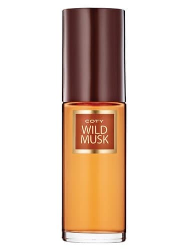 Wild Musk - وایلد ماسک