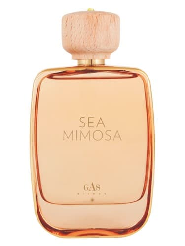 Sea Mimosa - سی میموزا