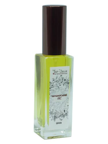 Molfar Forest / Мольфарський Ліс - جنگل مولفر / Мольфарський Ліс