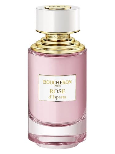 Rose d'Isparta - رز د اسپارتا
