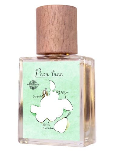 Pear Tree - درخت گلابی