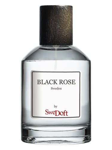 Black Rose - رز بلک