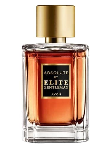Absolute By Elite Gentleman - ابسولوت بای الیت جنتلمن